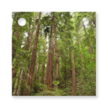 Up to Redwoods I at Muir Woods National Monument Favor Tags