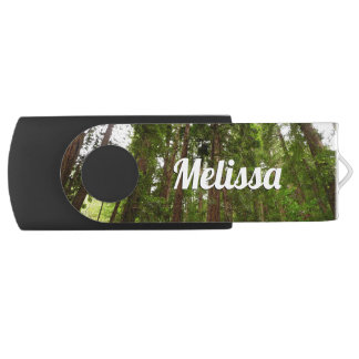 Up to Redwoods I at Muir Woods National Monument Flash Drive