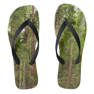 Up to Redwoods I at Muir Woods National Monument Flip Flops