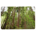 Up to Redwoods I at Muir Woods National Monument Floor Mat