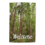Up to Redwoods I at Muir Woods National Monument Garden Flag