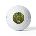 Up to Redwoods I at Muir Woods National Monument Golf Balls