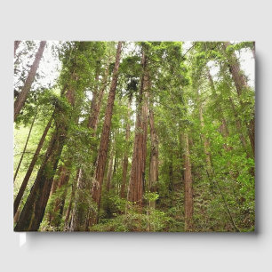 Up to Redwoods I at Muir Woods National Monument Guest Book