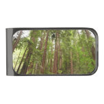 Up to Redwoods I at Muir Woods National Monument Gunmetal Finish Money Clip
