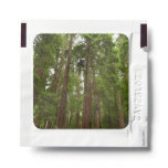 Up to Redwoods I at Muir Woods National Monument Hand Sanitizer Packet
