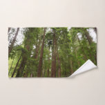 Up to Redwoods I at Muir Woods National Monument Hand Towel