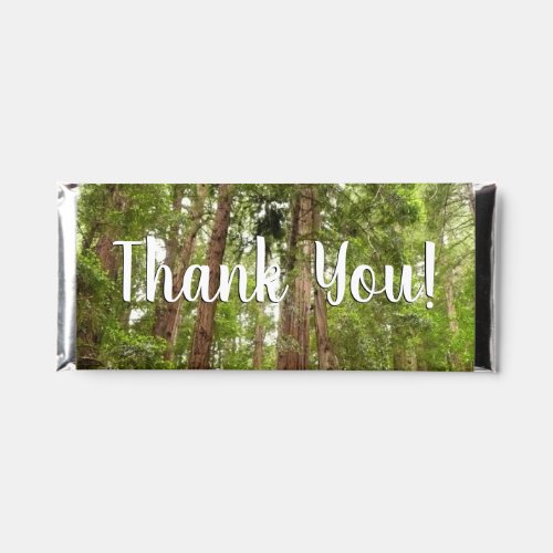 Up to Redwoods I at Muir Woods National Monument Hershey Bar Favors
