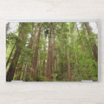 Up to Redwoods I at Muir Woods National Monument HP Laptop Skin