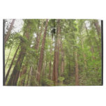 Up to Redwoods I at Muir Woods National Monument iPad Pro 12.9" Case
