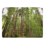 Up to Redwoods I at Muir Woods National Monument iPad Pro Cover