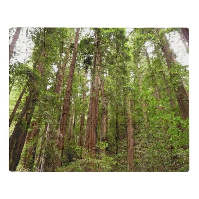 Up to Redwoods I at Muir Woods National Monument Jigsaw Puzzle (Puzzle Horizontal)
