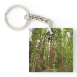 Up to Redwoods I at Muir Woods National Monument Keychain