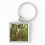Up to Redwoods I at Muir Woods National Monument Keychain