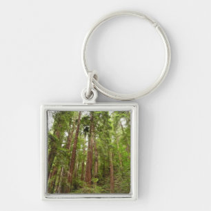 Up to Redwoods I at Muir Woods National Monument Keychain
