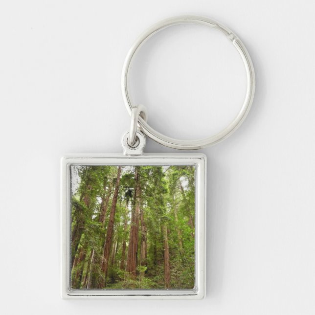 Up to Redwoods I at Muir Woods National Monument Keychain (Front)