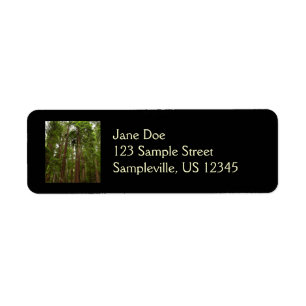 Up to Redwoods I at Muir Woods National Monument Label