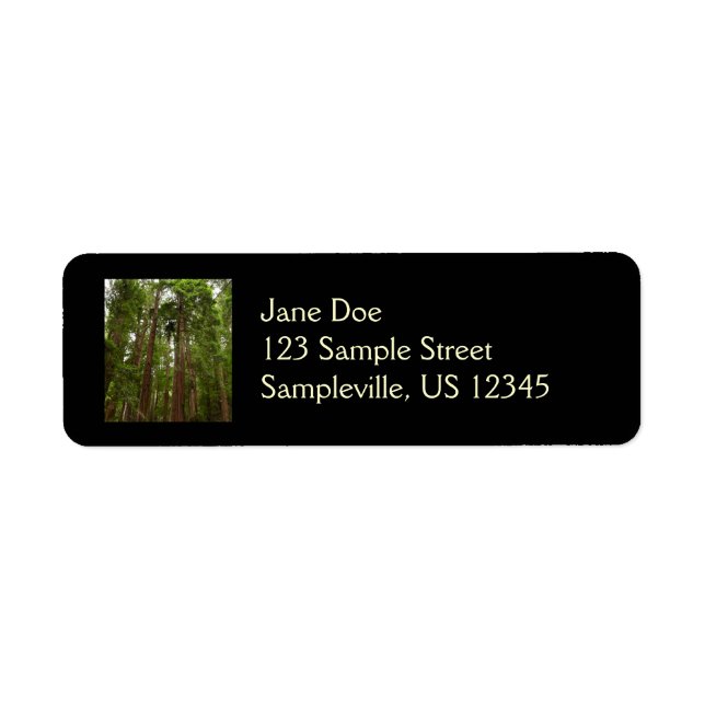Up to Redwoods I at Muir Woods National Monument Label (Front)
