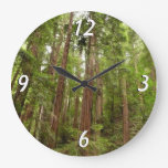 Up to Redwoods I at Muir Woods National Monument Large Clock