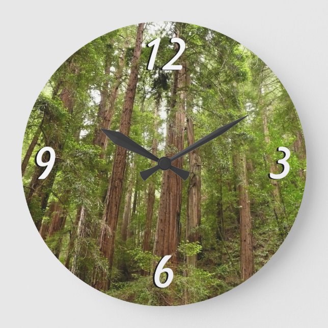 Up to Redwoods I at Muir Woods National Monument Large Clock (Front)