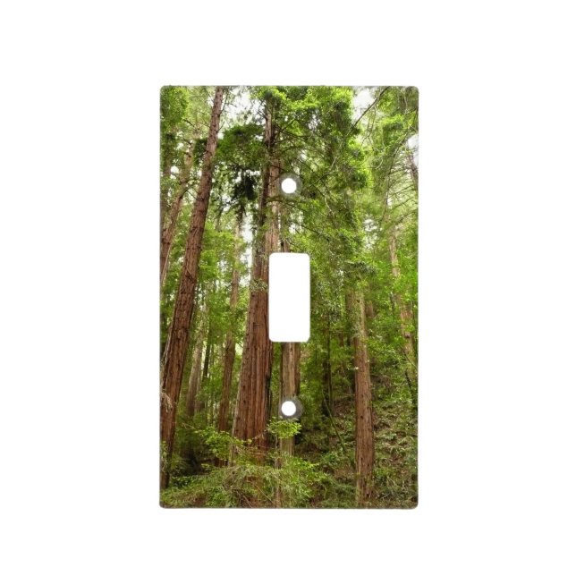 Up to Redwoods I at Muir Woods National Monument Light Switch Cover (Front)