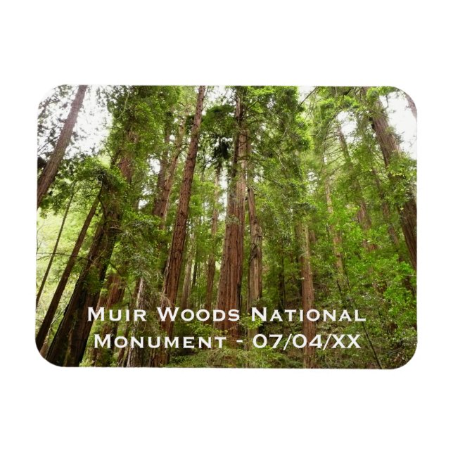 Up to Redwoods I at Muir Woods National Monument Magnet (Horizontal)