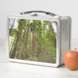 Up to Redwoods I at Muir Woods National Monument Metal Lunch Box