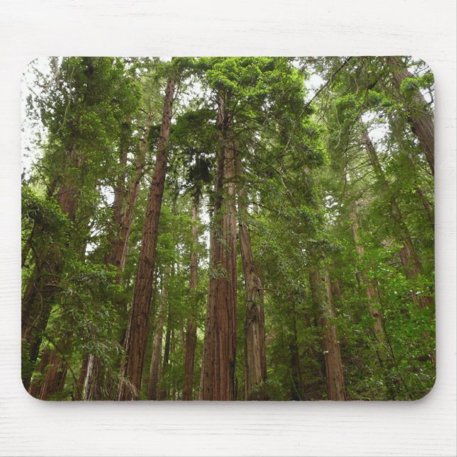 Up to Redwoods I at Muir Woods National Monument Mouse Pad (Front)