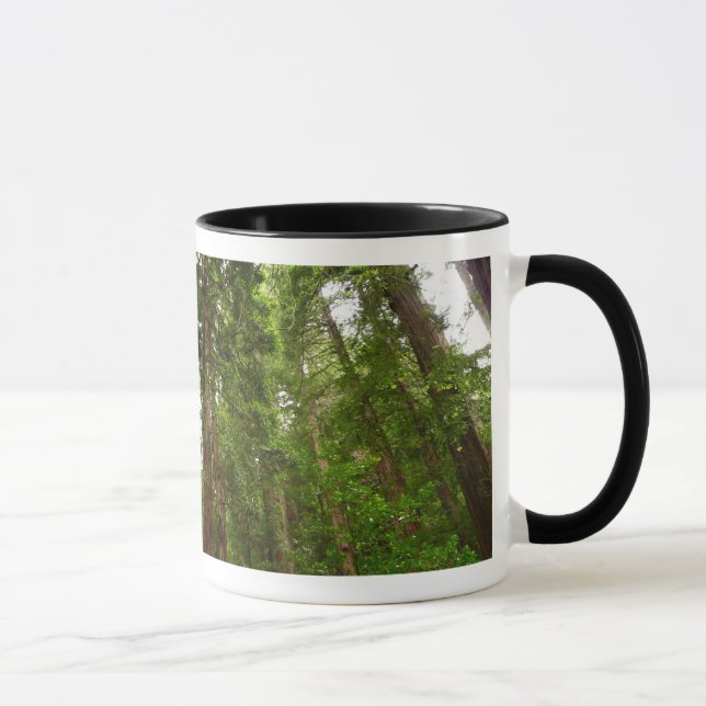 Up to Redwoods I at Muir Woods National Monument Mug (Right)