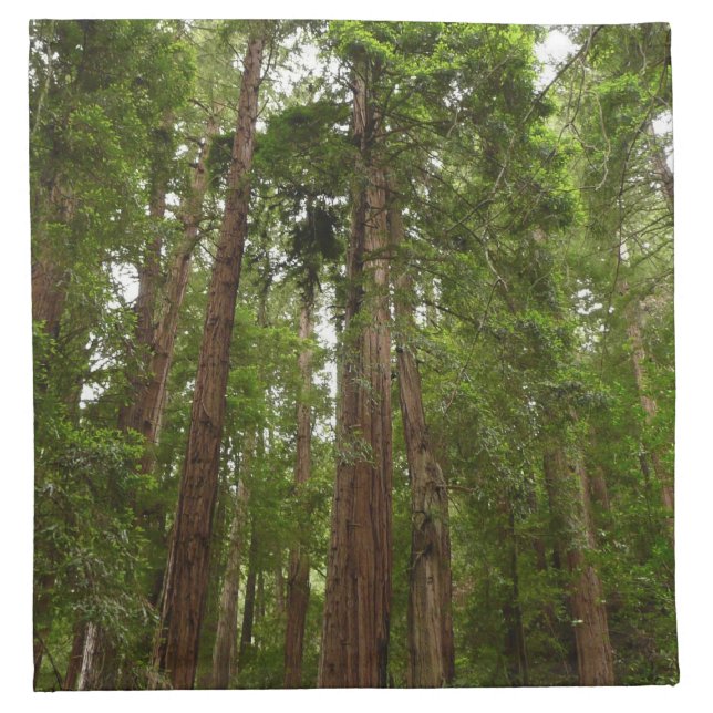Up to Redwoods I at Muir Woods National Monument Napkin (Front)