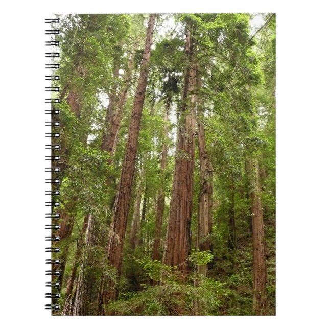 Up to Redwoods I at Muir Woods National Monument Notebook (Front)