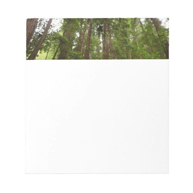 Up to Redwoods I at Muir Woods National Monument Notepad (Front)