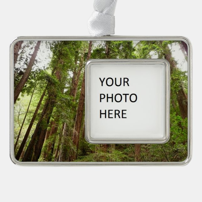 Up to Redwoods I at Muir Woods National Monument Ornament (Front)