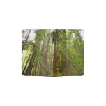 Up to Redwoods I at Muir Woods National Monument Passport Holder