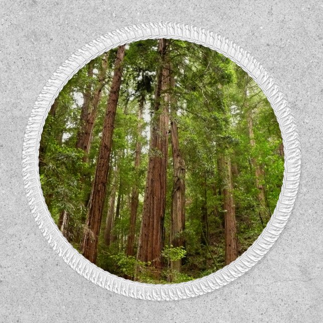 Up to Redwoods I at Muir Woods National Monument Patch (Front)