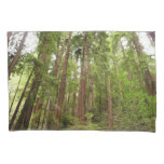 Up to Redwoods I at Muir Woods National Monument Pillow Case