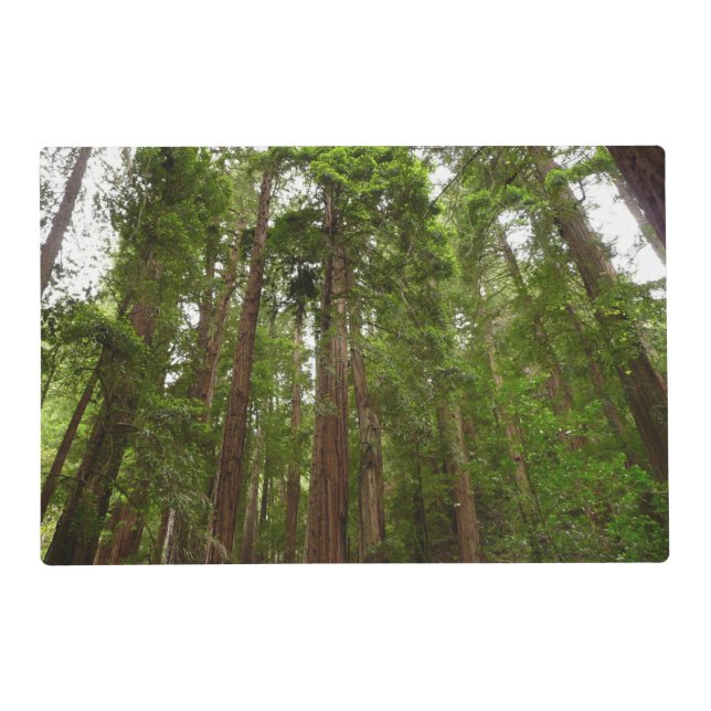 Up to Redwoods I at Muir Woods National Monument Placemat (Front)