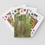 Up to Redwoods I at Muir Woods National Monument Playing Cards