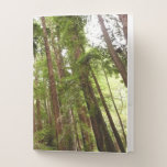 Up to Redwoods I at Muir Woods National Monument Pocket Folder