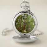 Up to Redwoods I at Muir Woods National Monument Pocket Watch