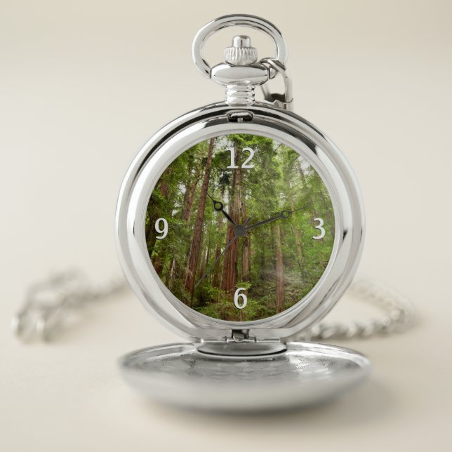 Up to Redwoods I at Muir Woods National Monument Pocket Watch (Inside)