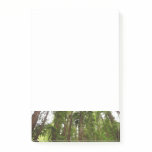 Up to Redwoods I at Muir Woods National Monument Post-it Notes