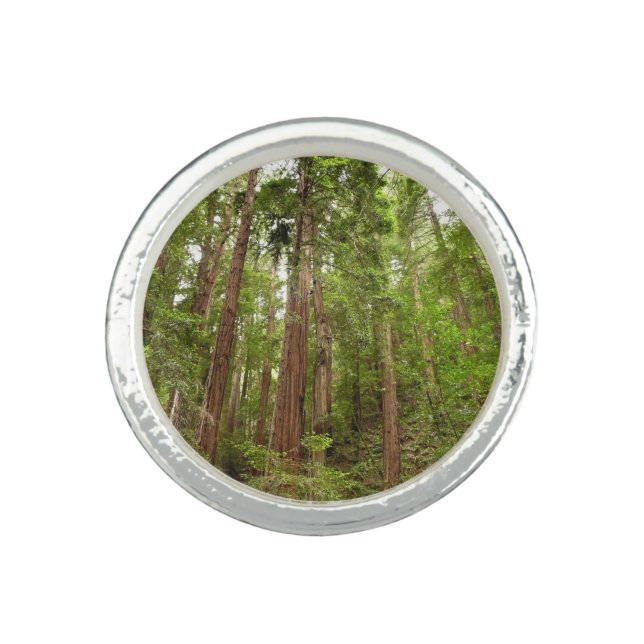 Up to Redwoods I at Muir Woods National Monument Ring (Front)