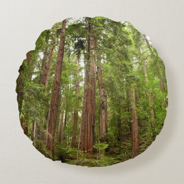 Up to Redwoods I at Muir Woods National Monument Round Pillow (Front)