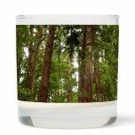 Up to Redwoods I at Muir Woods National Monument Scented Candle