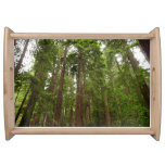 Up to Redwoods I at Muir Woods National Monument Serving Tray
