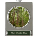 Up to Redwoods I at Muir Woods National Monument Silver Plated Banner Ornament