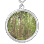 Up to Redwoods I at Muir Woods National Monument Silver Plated Necklace