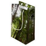 Up to Redwoods I at Muir Woods National Monument Small Gift Bag