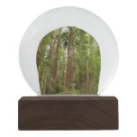 Up to Redwoods I at Muir Woods National Monument Snow Globe