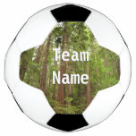 Up to Redwoods I at Muir Woods National Monument Soccer Ball